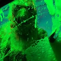 Slime monster lit green in the car wash tunnel
